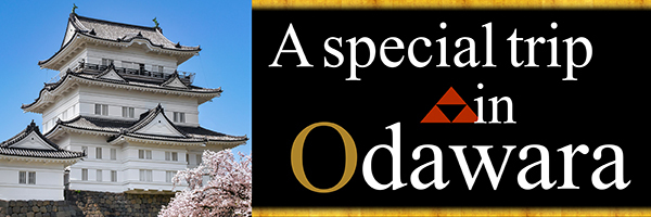 A special trip in Odawara